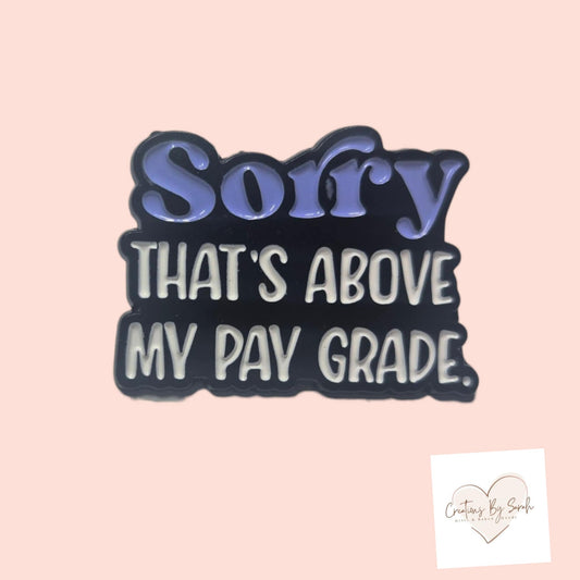 Sorry That's Above My Pay Grade Pin Badge